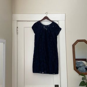 Loft NWT Blue Lace Shift Dress 4P